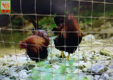 Reticolato di plastica trasparente del pollame, reticolato di plastica del pollame, cavo di pollo Mesh Fencing, rete del pollo della Tailandia